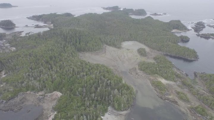 Archeologists from the Hakai Institute discovered a 14,000-year-old settlement on Triquet Island in Heiltsuk Territory in 2017.