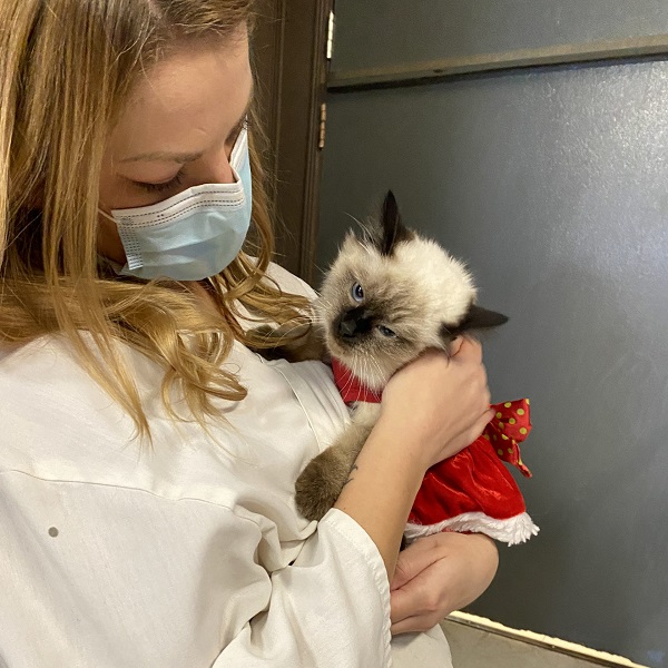 A RHS staff member is pictured cuddling with Katniss.