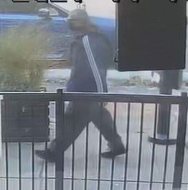Man wanted after woman attacked, robbed of purse in Toronto: police ...