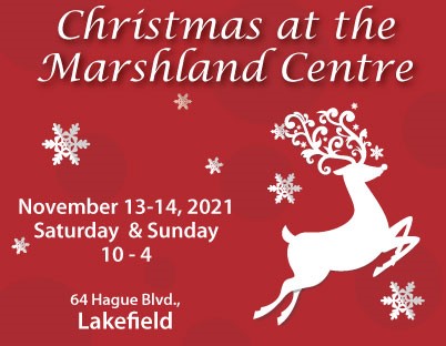 Christmas at the Marshland Centre - image