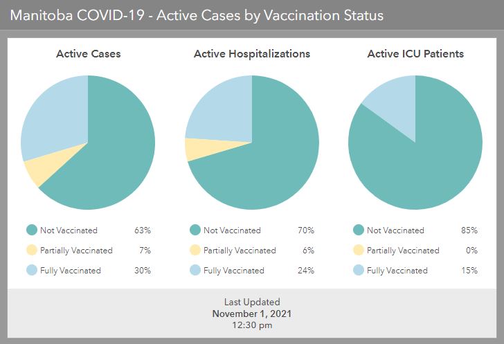 Manitoba reports 342 new COVID-19 cases, 2 deaths in last 3 days - image