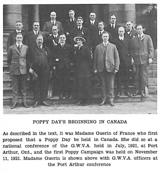 100 Years of Poppies: From Flanders Fields to our lapels - image