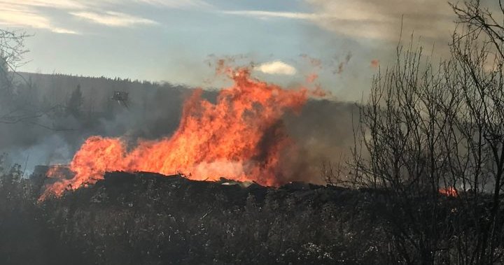 Major fire tears through Quesnel, B.C. log yard – BC