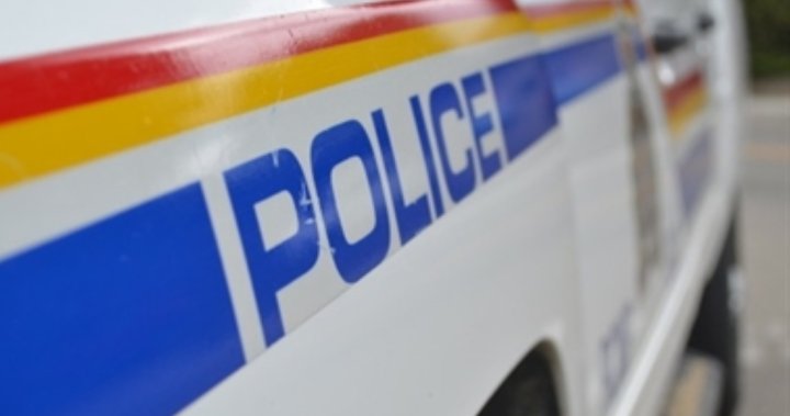 N.B. man dead after vehicle collision with moose