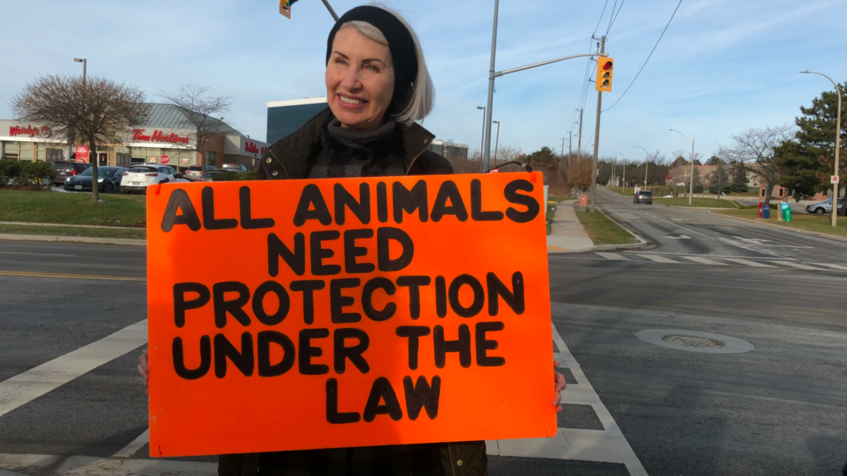 Animal Activist Regan Russell was killed after hit by a truck in front of a Burlington pork processing plant on June 19, 2020.