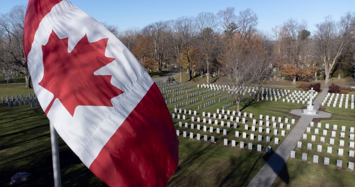 Remembrance Day 2021 marks return of in-person ceremonies across most of Canada