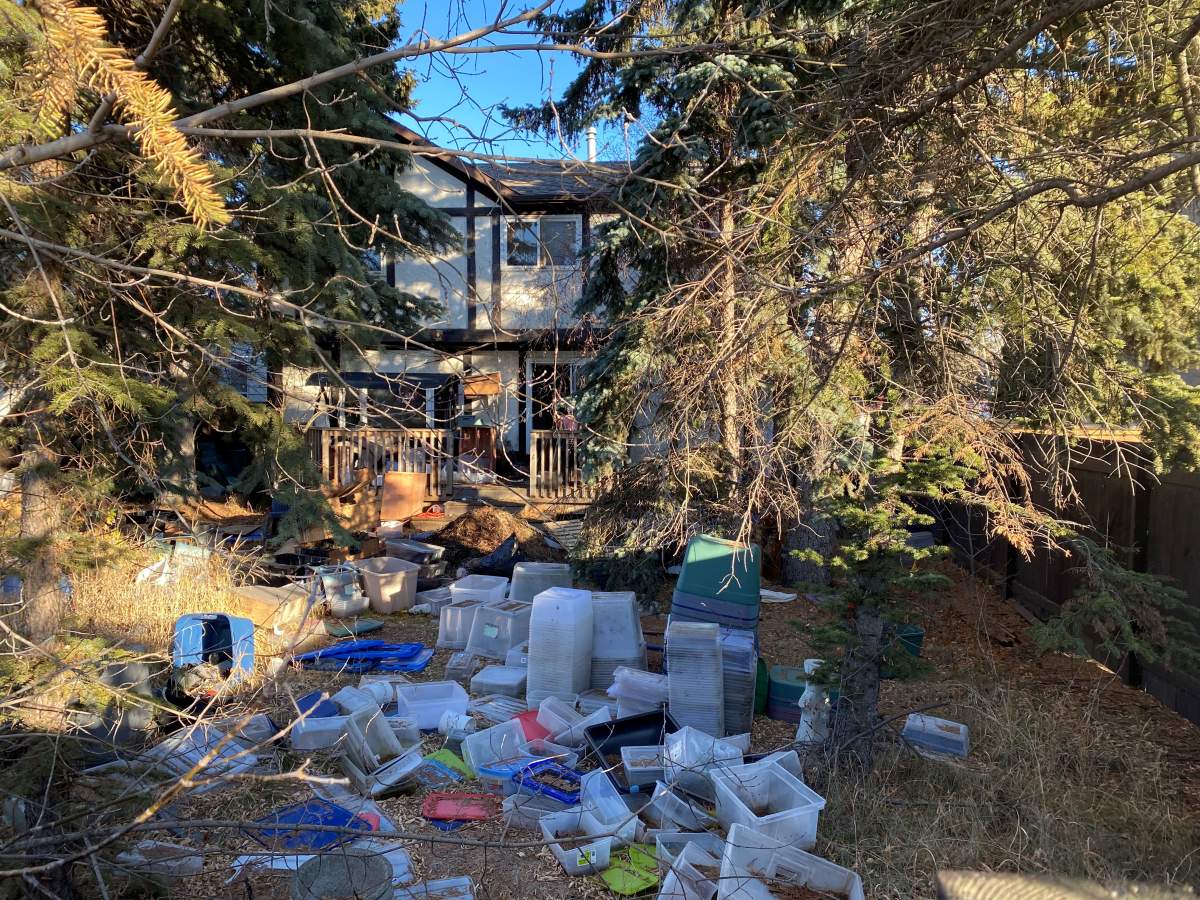 Reptiles were found inside a home following a house fire in the area of 20 Avenue and 112 A Street Wednesday, Nov. 10, 2021.