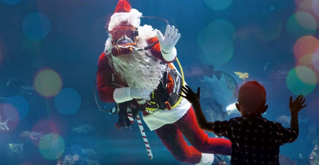 Global BC Sponsors The Vancouver Aquarium’s Holiday Splash - image