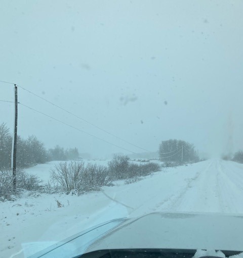 Hydro lines sag under the weight of heavy snow near Arborg.