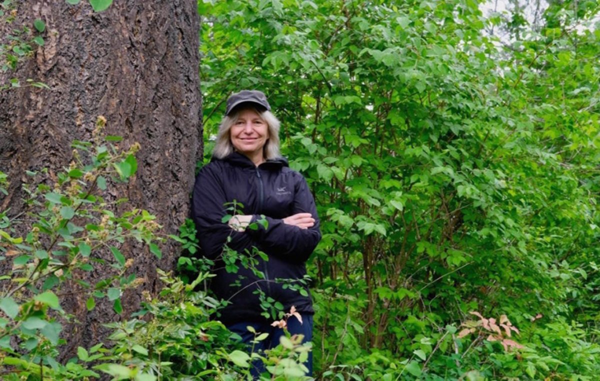 Prof. Suzanne Simard, of the University of British Columbia, poses in this undated handout photo. 