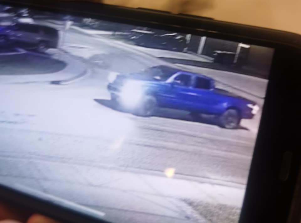 The vehicle believed to be in the area at the time of the lions being taken.