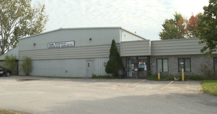 Kingston Humane Society closing for weekend amid COVID-19 outbreak