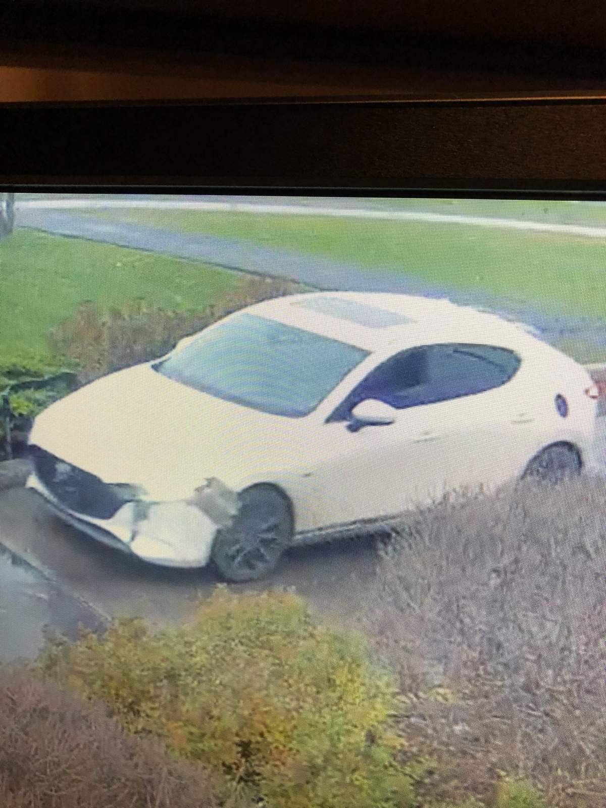 Kingston police are looking for this vehicle, which they say has been involved in several dangerous driving incidents. It may be heavily damaged, police say.