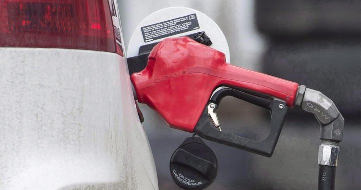 Pain at the pumps: Halifax gas prices soar to new record of $152.6