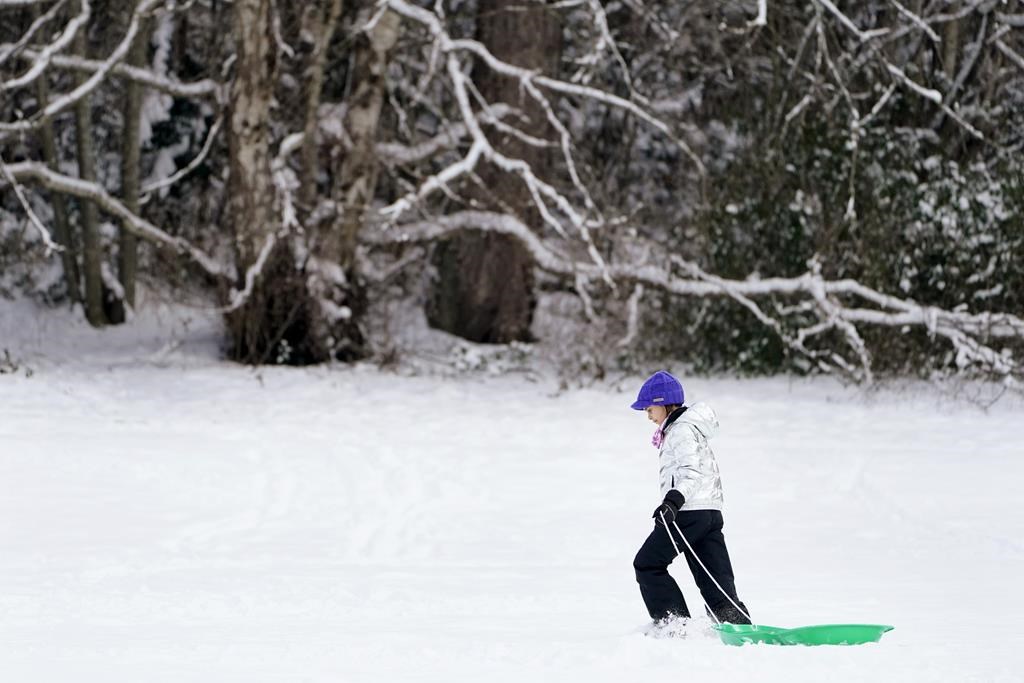 New guidelines outline how school snowbanks should be built for sledding, including height, slope, supervision and when helmets may be required.