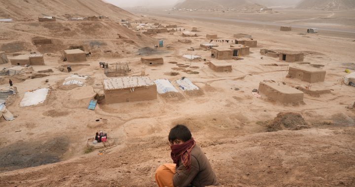 Afghanistan’s climate change exacerbating poverty as humanitarian crisis looms - Globalnews.ca