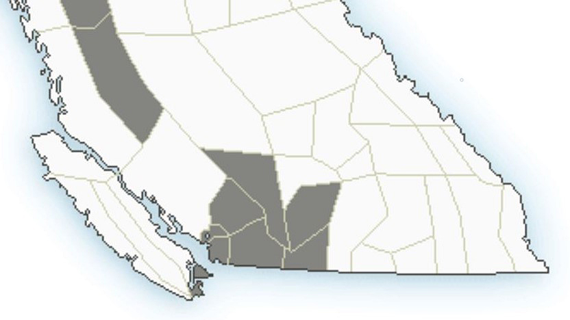Environment Canada says an incoming Pacific system will produce 15-25 cm for parts of Highway 3 and the Coquihalla Highway between Friday and Saturday.