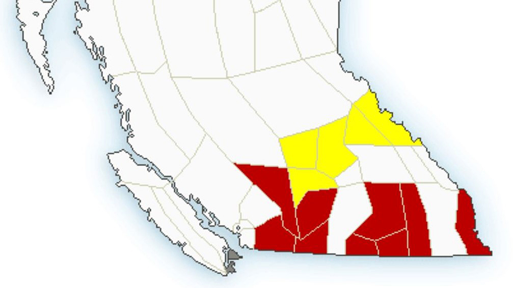 A map showing snowfall and winter storm warnings in red, plus snow squall watches in yellow, for regions in B.C.’s Southern Interior.