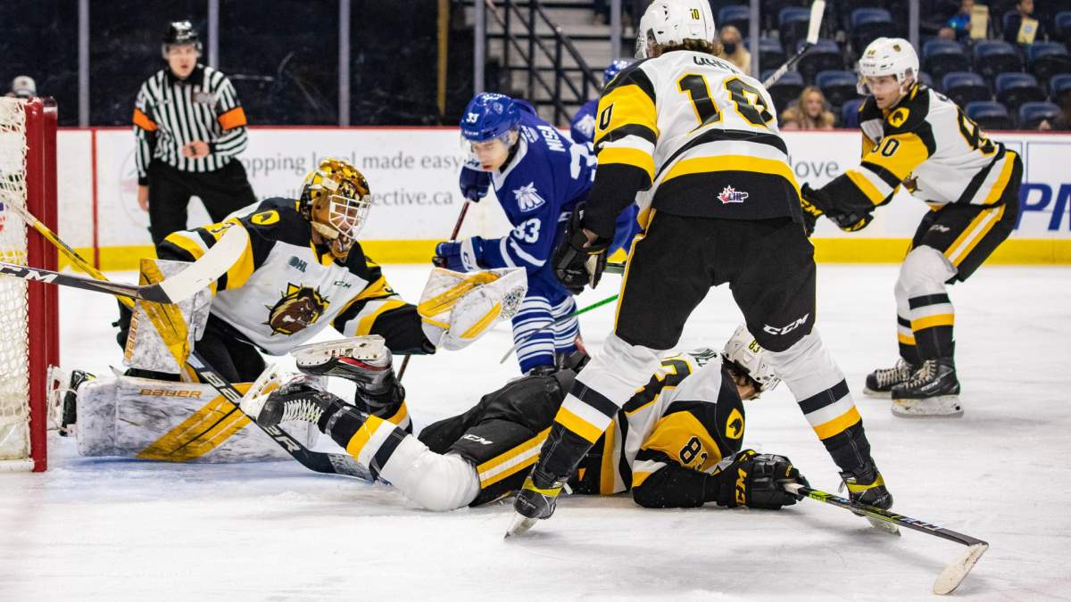 Hamilton Bulldogs in action against the Mississauga Steelheads.