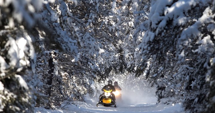 Northumberland County Forest snowmobile trails reopen after use agreement reached