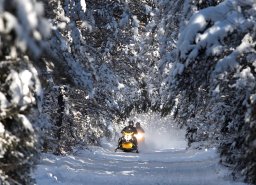 Continue reading: Northumberland County Forest snowmobile trails reopen after use agreement reached
