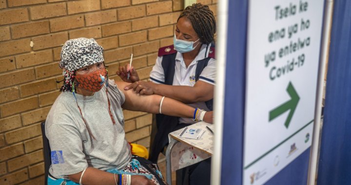Omicron COVID-19 cases drop in South Africa, potentially signaling end of surge