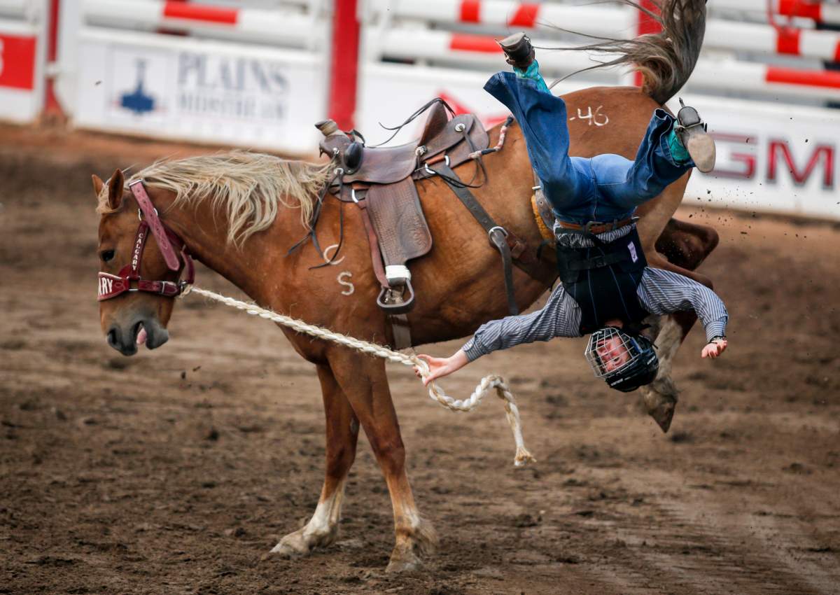 Maesa Morris, 16, comes off Twilight Moon in the ranch bronc event during Broncs After Dark rodeo action at the Calgary Stampede in Calgary, Alta., Wednesday, July 14, 2021.