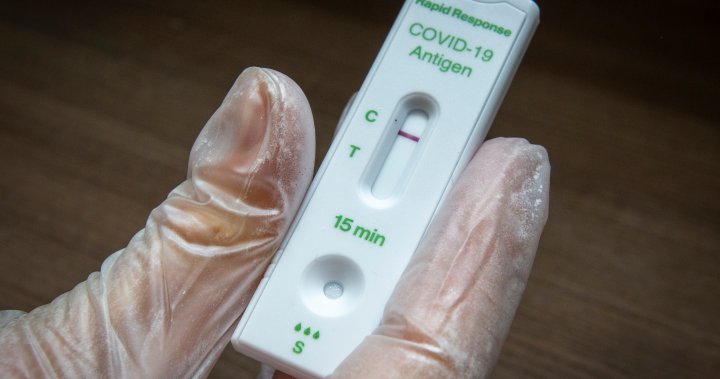 B.C. to provide at-home COVID-19 rapid tests, but not until January