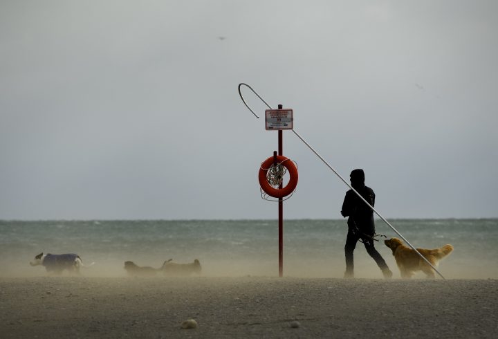 A dog walker fights the wind along with blowing sandy conditions on Woodbine Beach in Toronto on Monday, February 25, 2019.