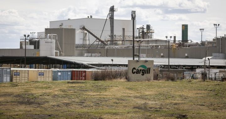 Cargill, serikat pekerja mencapai kesepakatan tentatif yang dapat mencegah pemogokan di pabrik daging Alberta
