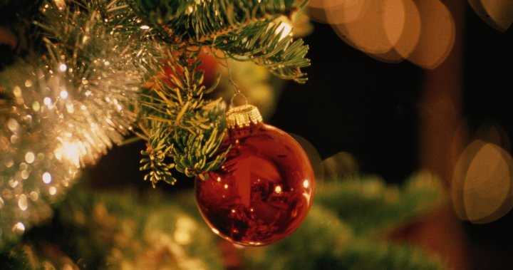 Curbside Christmas tree collection starts in Edmonton on Jan. 10 ...