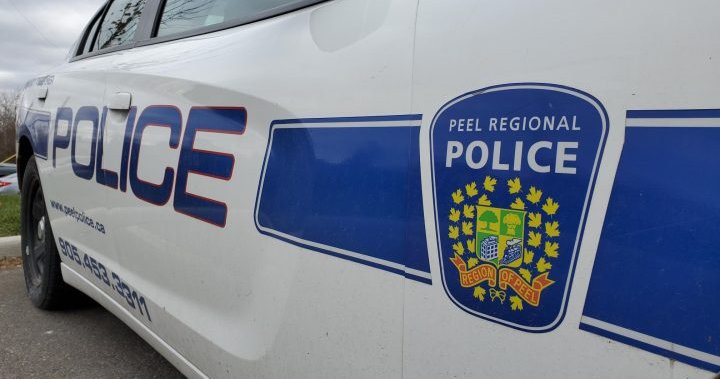Woodbridge, Ont. man arrested, charged after allegedly harassing woman online: police – Toronto