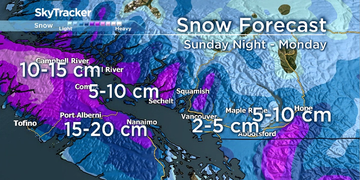 Snowfall Warnings In Effect For Parts Of Lower Mainland, Vancouver ...