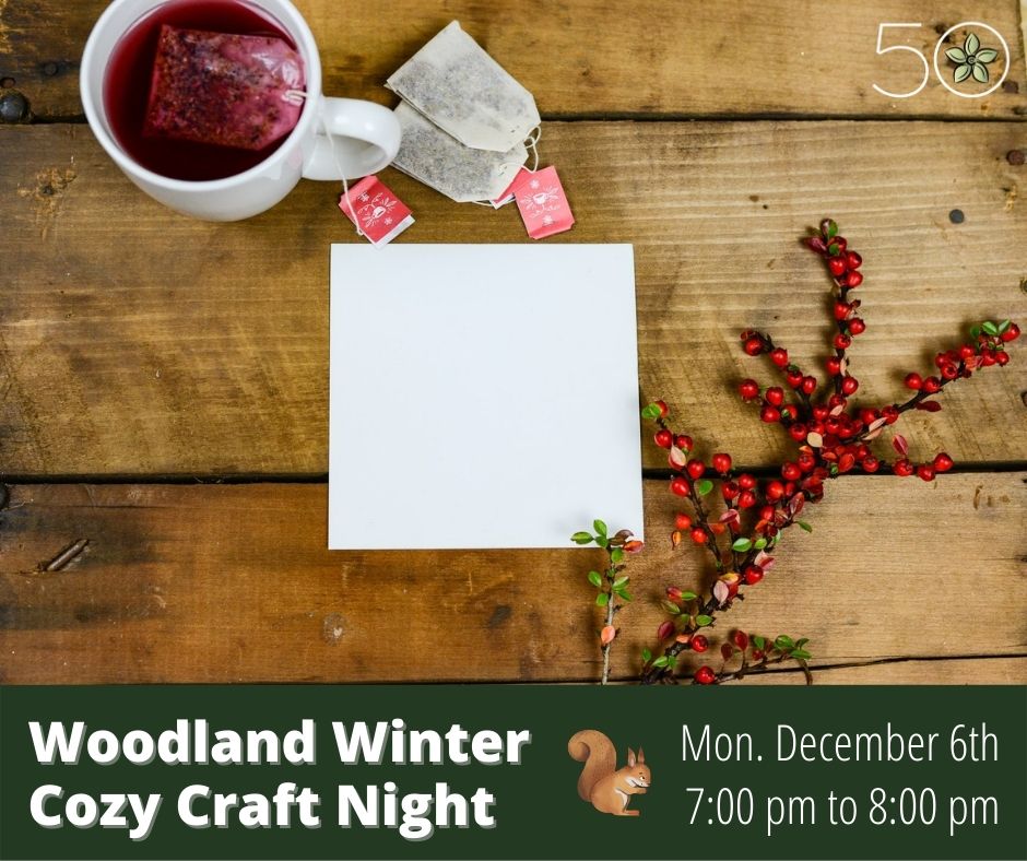 Woodland Winter: Cozy Craft Night - image