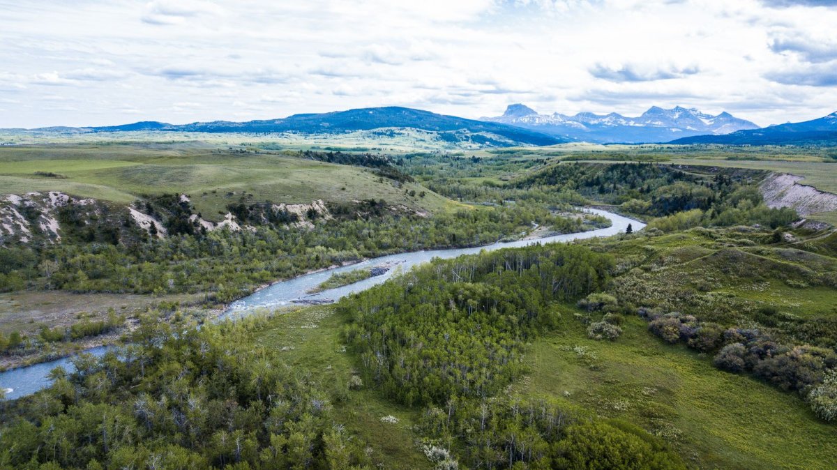 An image of the Belly River. The Nature Conservancy of Canada has a piece of land that includes part of the river, to protect it for animal and plant species. Courtesy: Brent Calver.