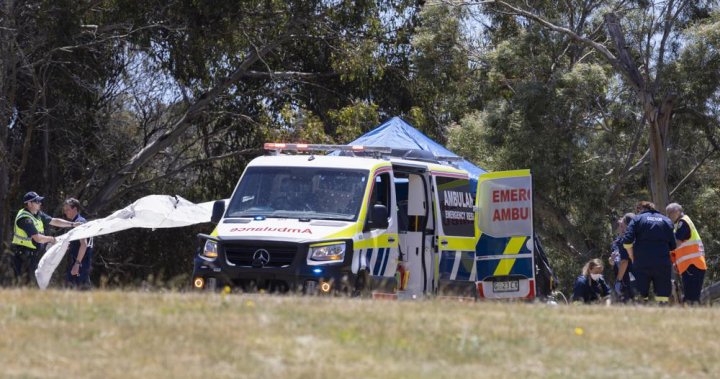 5 children dead after ‘horrific’ bouncy castle incident in Australia