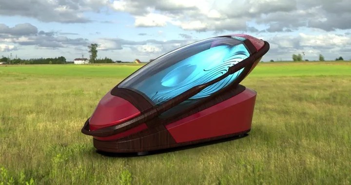 Suicide pods being developed in Switzerland, providing users with a painless death - National | Globalnews.ca