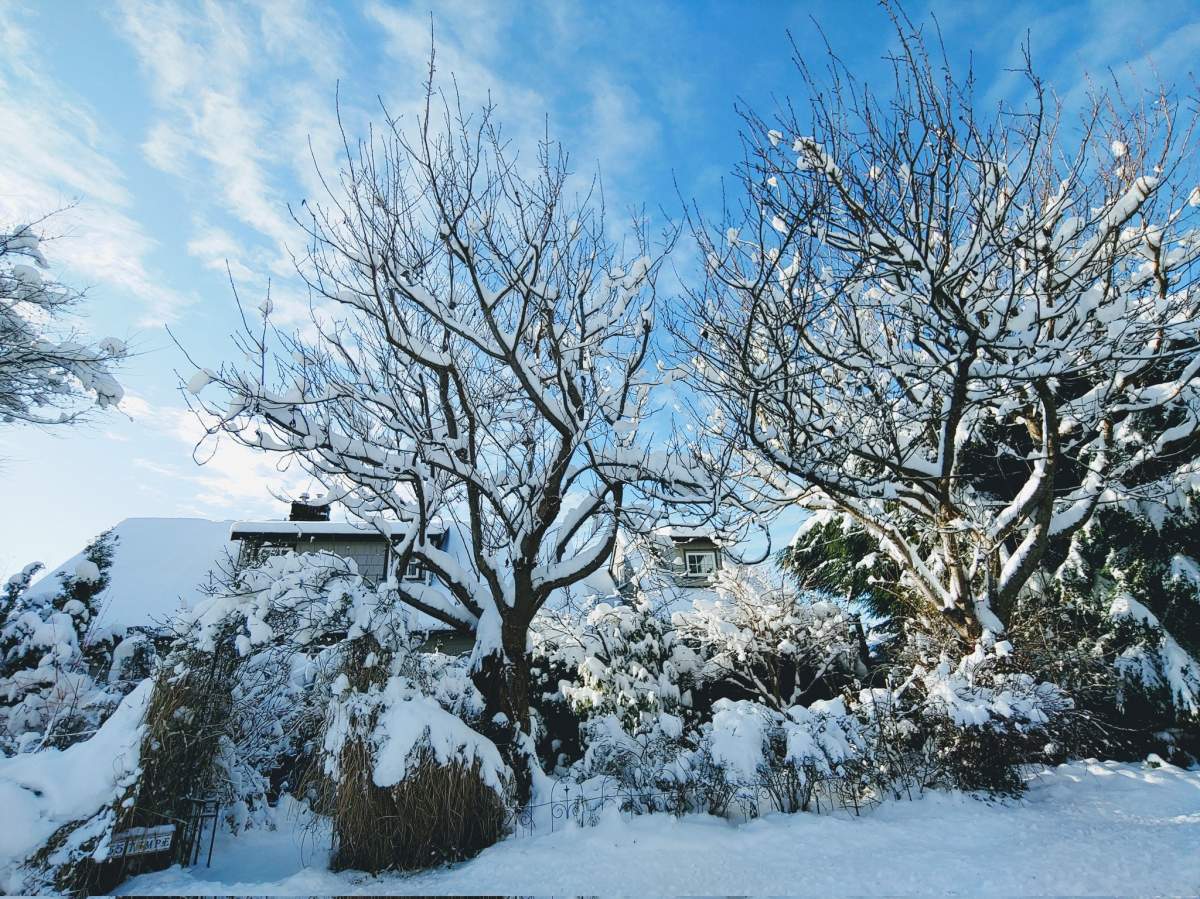 Upper Lonsdale, North Vancouver.