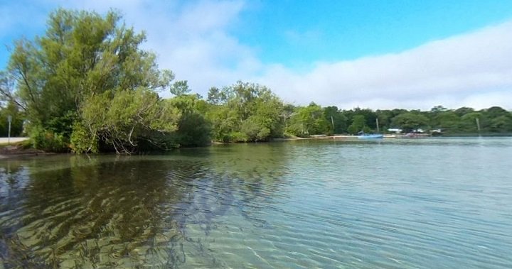 Stretch of Manitoulin Island shoreline now protected land, conservation group says