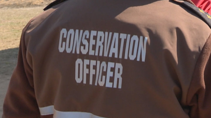 A 36-year-old man from Beauval, Sask. has been charged with $14,500 in fines after pleading guilty to multiple wildlife and fisheries offences last month.
