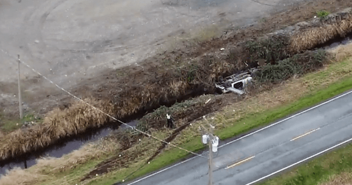 Crash into South Surrey ditch leaves one person dead, RCMP investigating – BC
