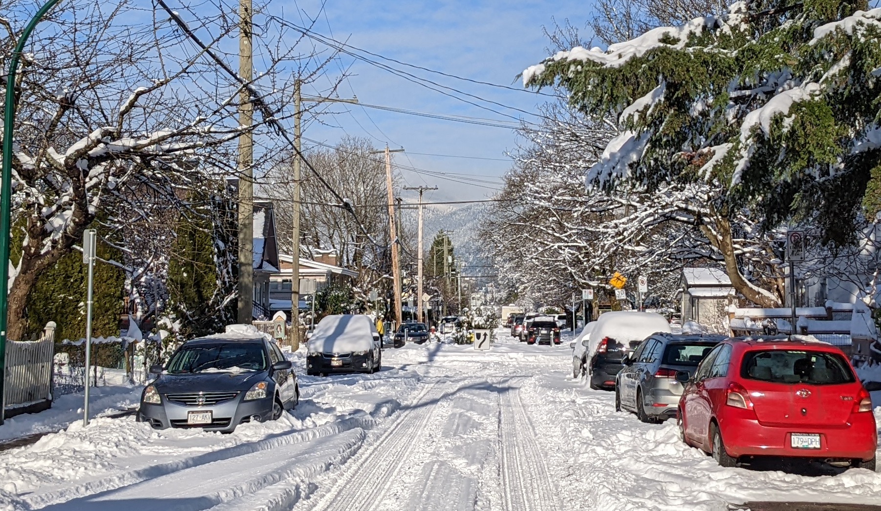 Lower Mainland Blanketed In White As 15-20 Cm Of Snow Falls Across The ...