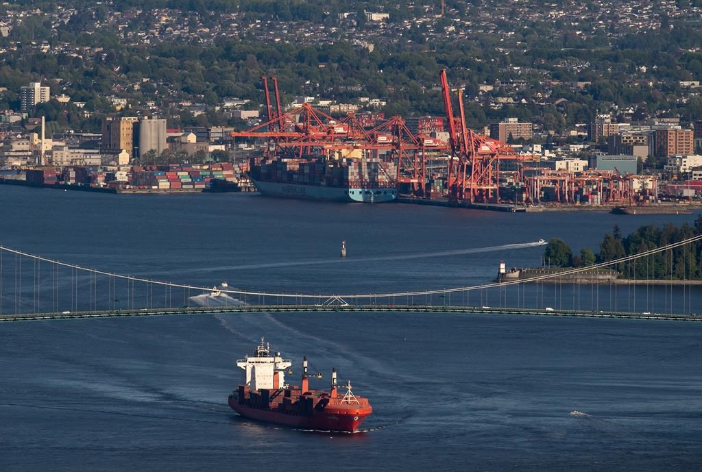 Bridge safety in Metro Vancouver questioned after Baltimore ship strike, collapse