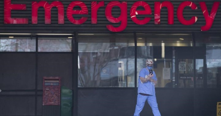 Doctors say health system has ‘collapsed’ as patient surges fuel ER closures