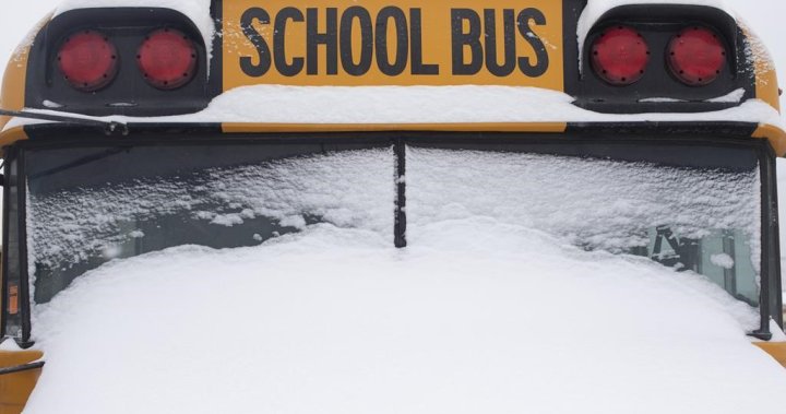 Buses cancelled in Waterloo Region, Guelph Tuesday but schools are open