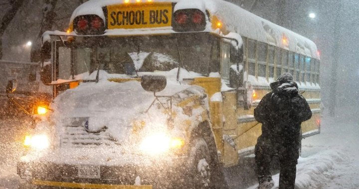 Schools remain open in Waterloo Region, Guelph but buses cancelled