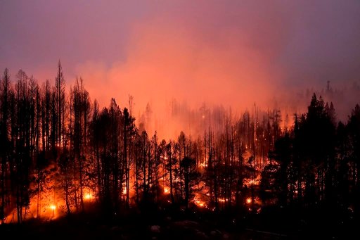 FILE – Trees scorched by the Caldor Fire smolder in the Eldorado National Forest, Calif., Friday, Sept. 3, 2021. The Biden administration wants to thin more forests and use prescribed burns to reduce catastrophic wildfires as climate changes makes blazes more intense. (AP Photo/Jae C. Hong, File)