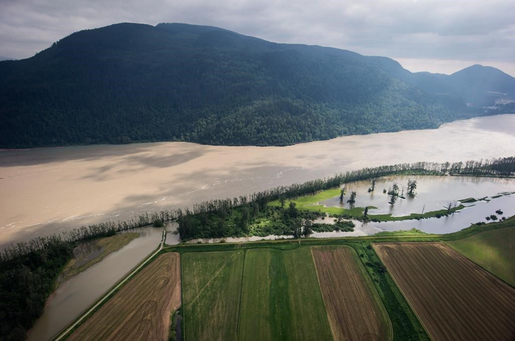 Flooded farmland is seen along the Fraser River in an aerial view near Abbotsford, B.C., on Wednesday May 16, 2018. THE CANADIAN PRESS/Darryl Dyck.