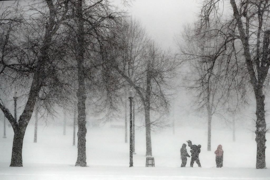 Snow falls on Boston Common, Saturday, Jan. 29, 2022, in Boston.