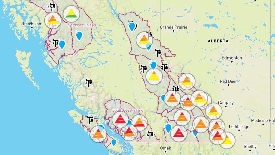 For Avalanche Canada, the winter of 2021-22 is proving to be a busy one, with the B.C.-based organization having issued many warnings across the province this year.
